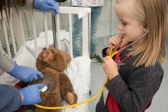 2019_10_11_-Mainzer-Teddyklinik_Foto-Thomas-Boehm_DSC9969_142