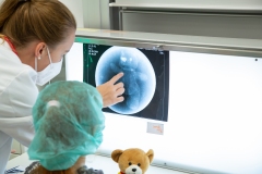 6CB3B738-77AE-4E28-B15C-C8E9ECAF84CA